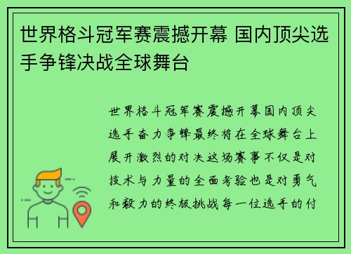 世界格斗冠军赛震撼开幕 国内顶尖选手争锋决战全球舞台